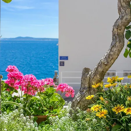 Businci 11232c Appartement *