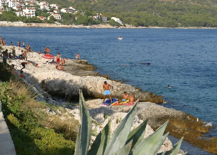 Businci 11232c Trogir